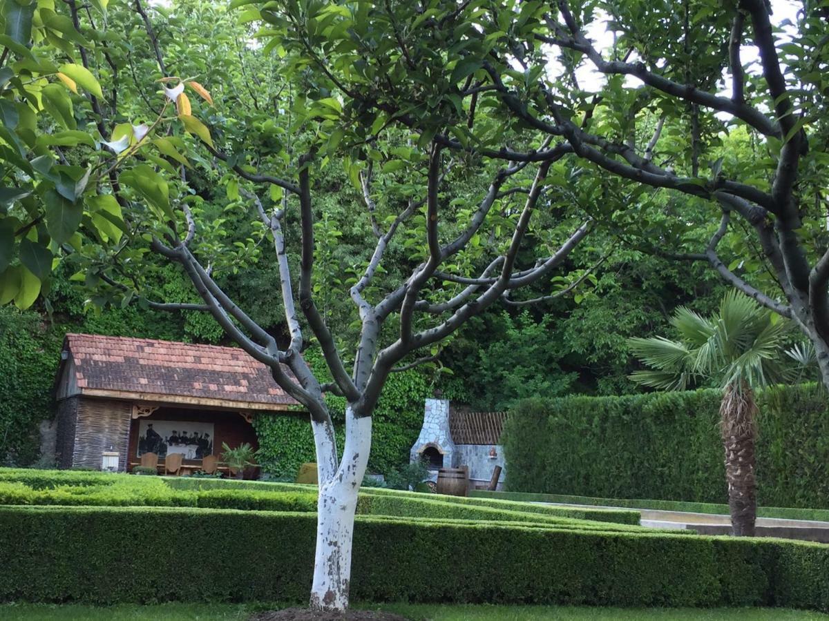 Aragvi valley Villa Tsitelsopeli Kültér fotó