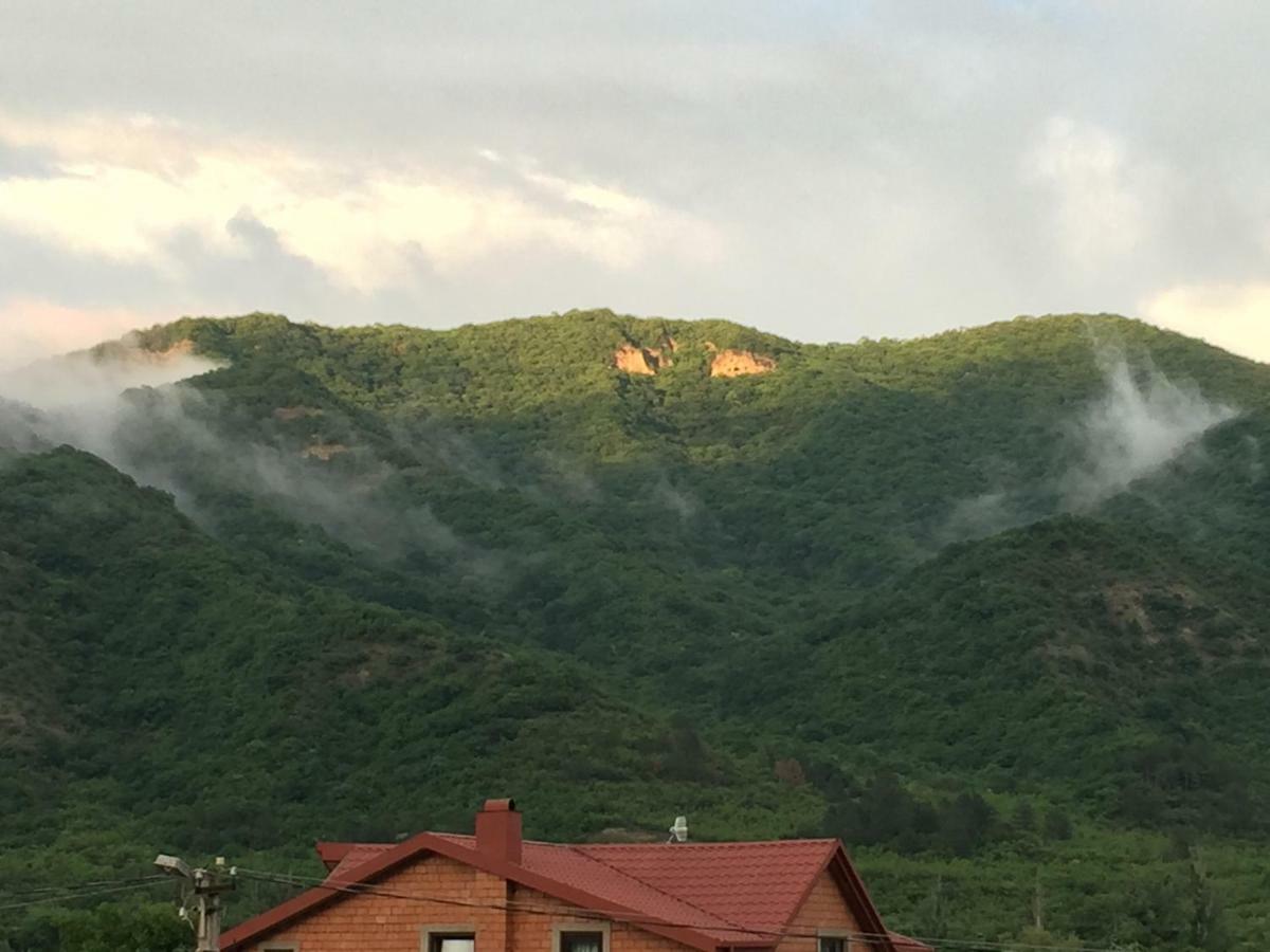 Aragvi valley Villa Tsitelsopeli Kültér fotó